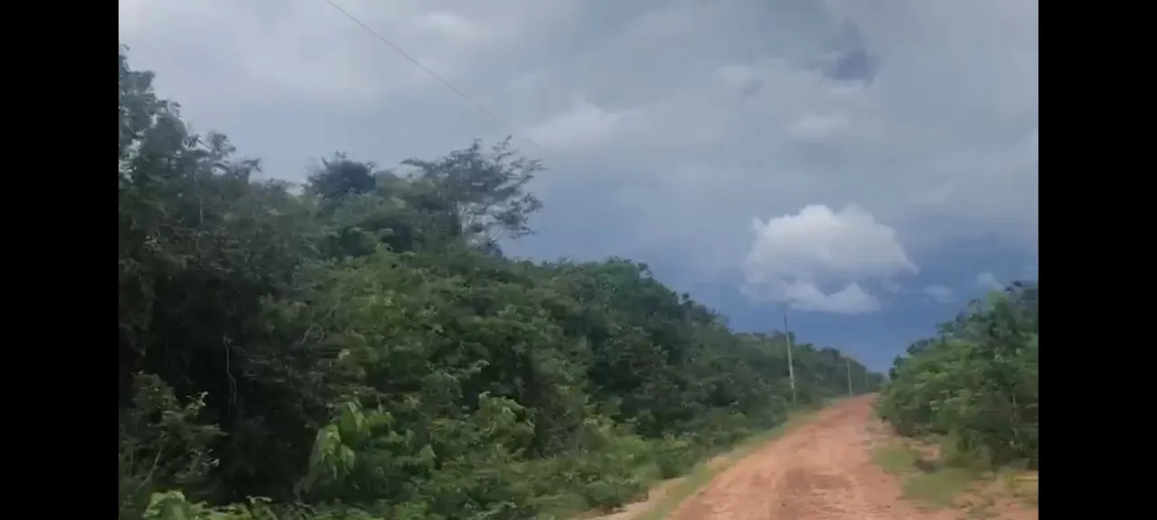 Fazenda 650 ha