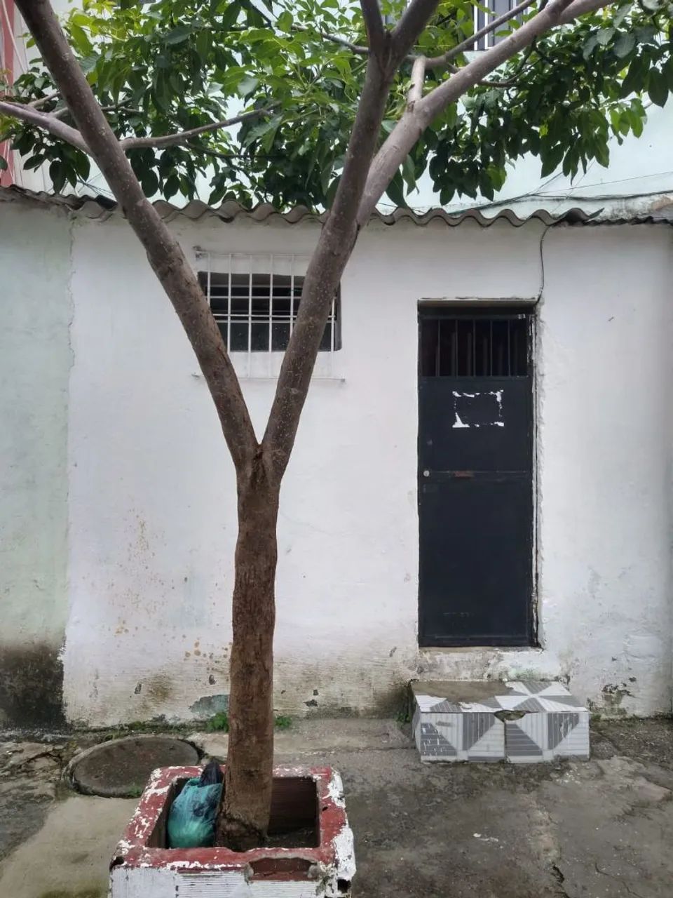 foto - Olinda - Ouro Preto