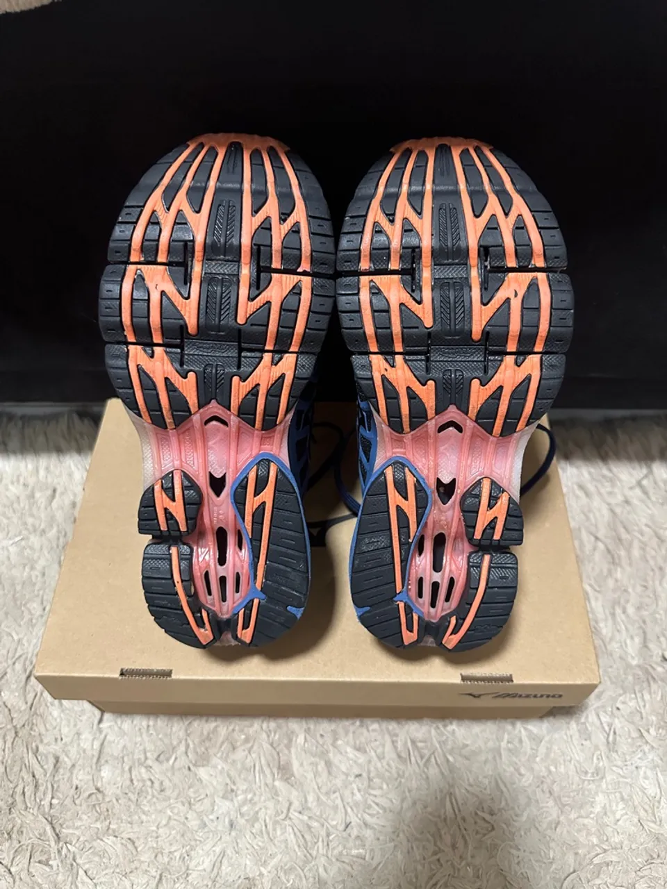 Mizuno prophecy 9