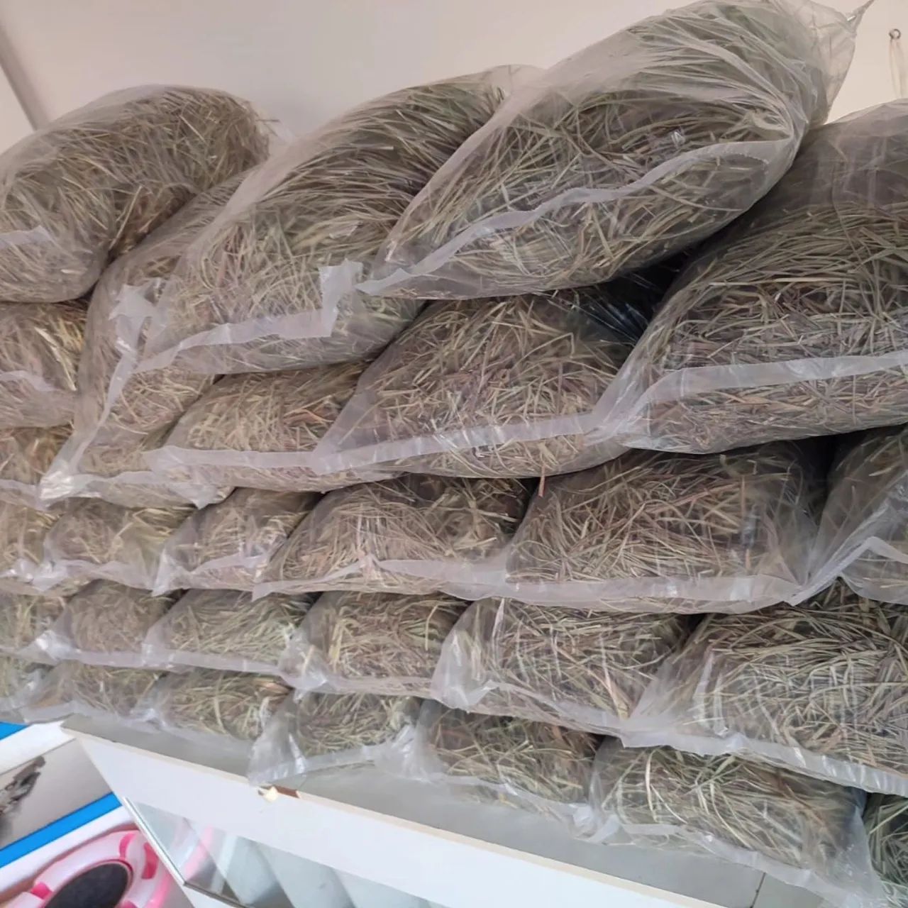 Criatório Roedores e Cia (pacote de feno disponível) - Foto 3