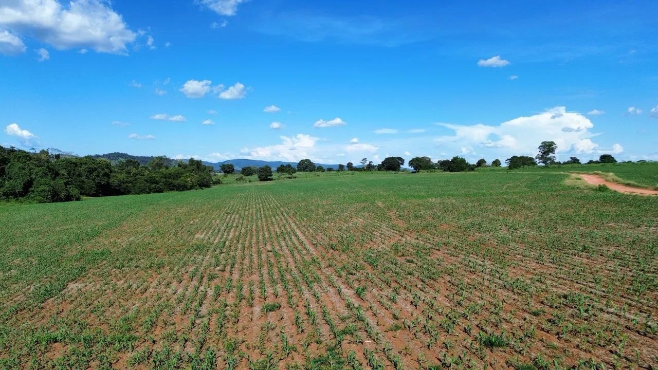 Vendo Fazenda 