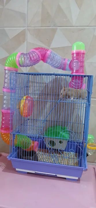 2 Gaiolas para 2 Hamsters com Acessórios - Foto 6