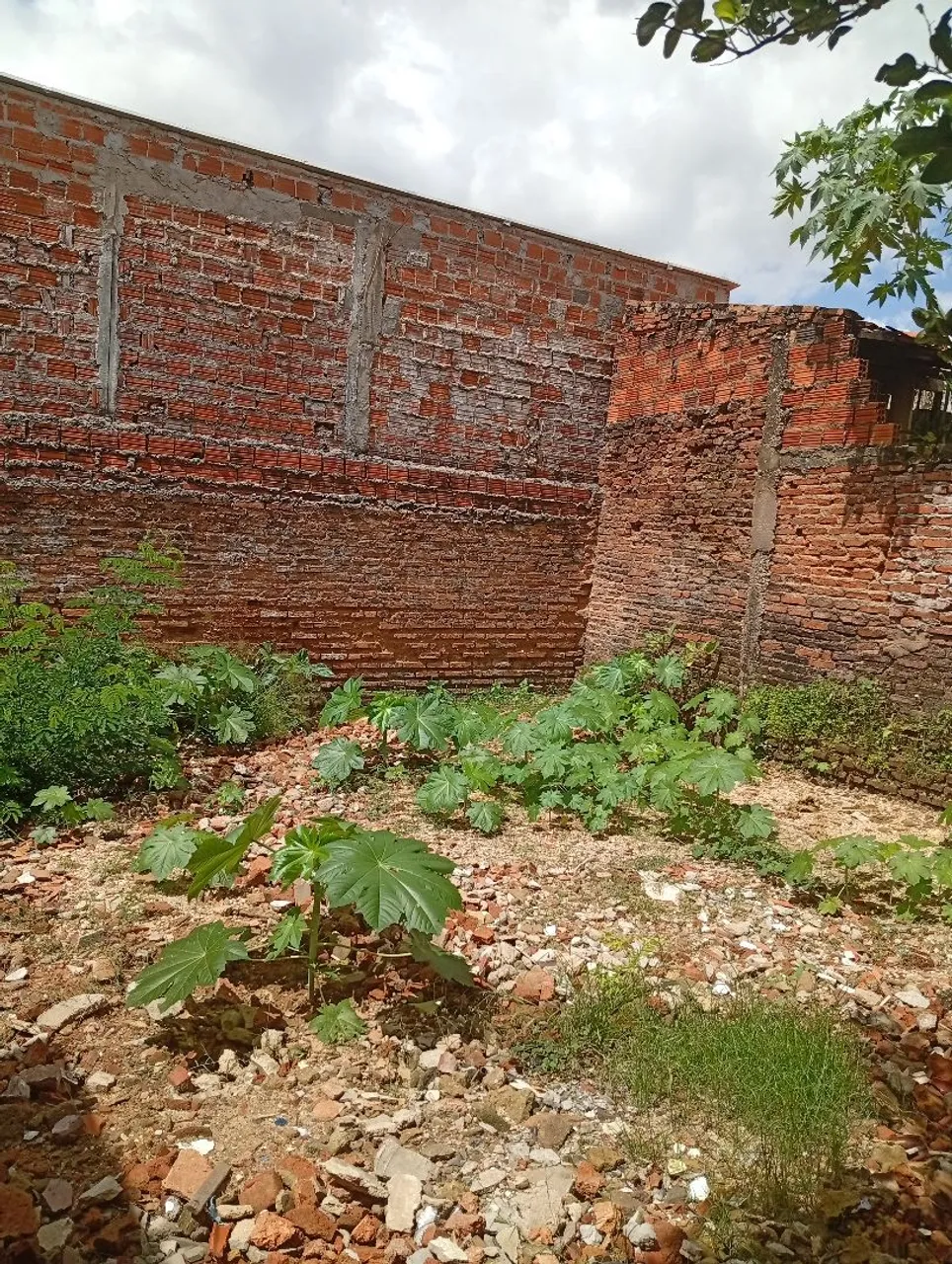 Casa no bairro primavera 1