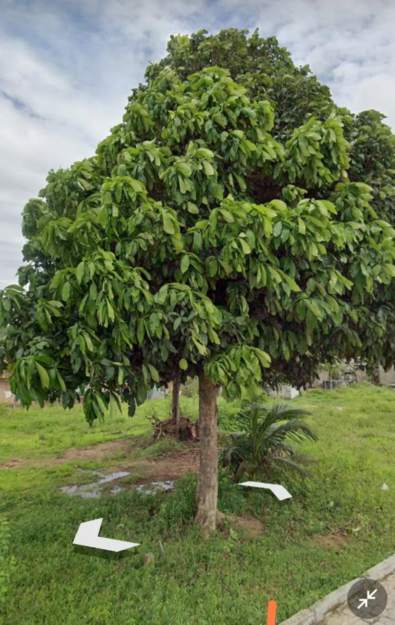 Vila Nova de Extremoz