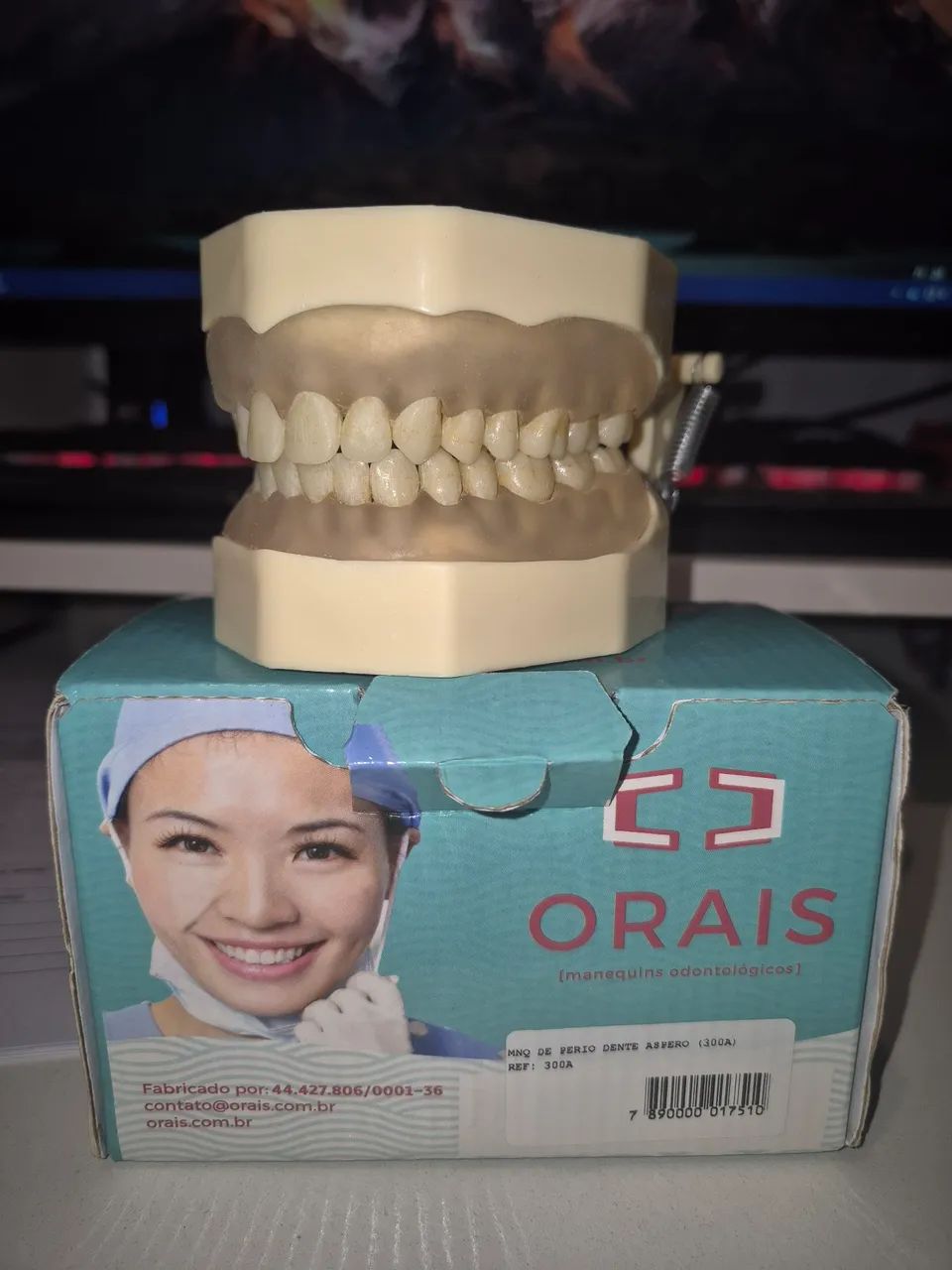 Manequim de Periodontia Orais