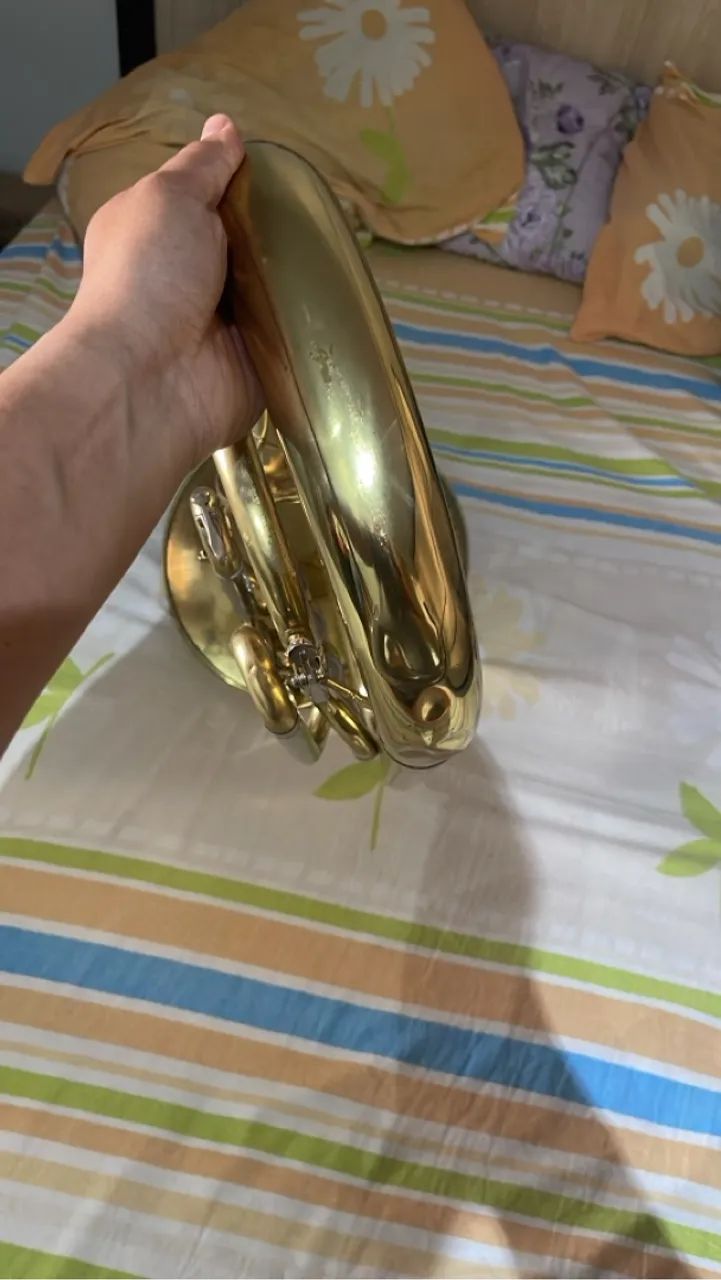 Bombardino Spalla - Foto 2