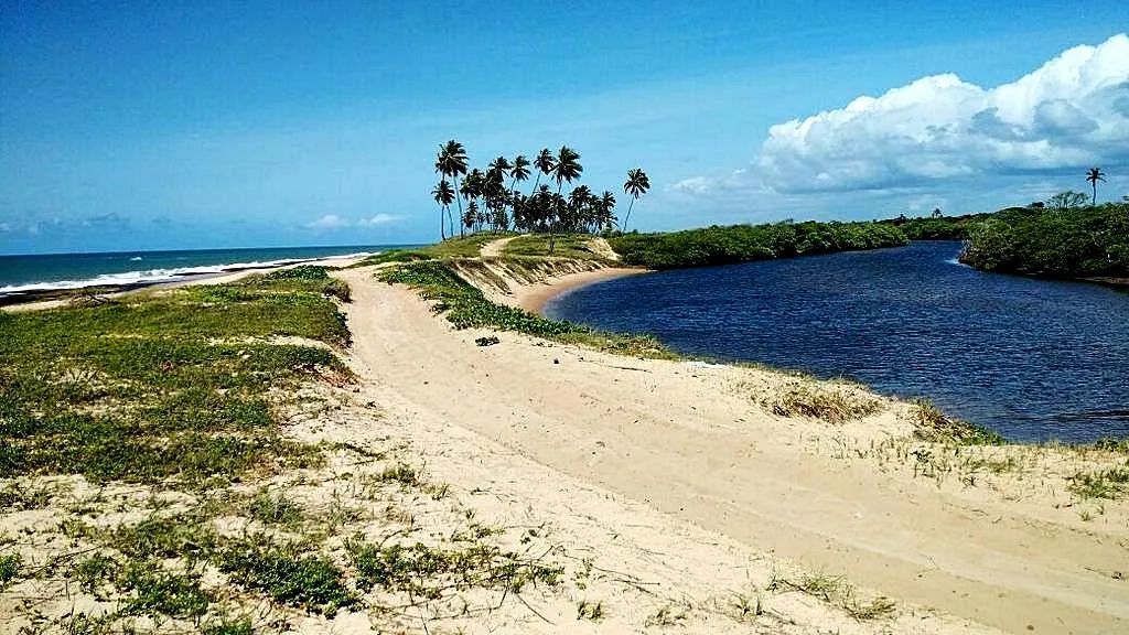 Terreno para Venda em Camaçari, Barra do Jacuípe - Foto 3