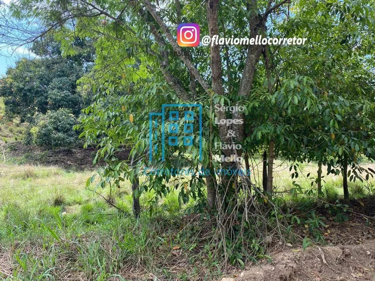 Área 25,000m² em Itaboraí !! para montar seu sitio  Cod(115IV) - Foto 14