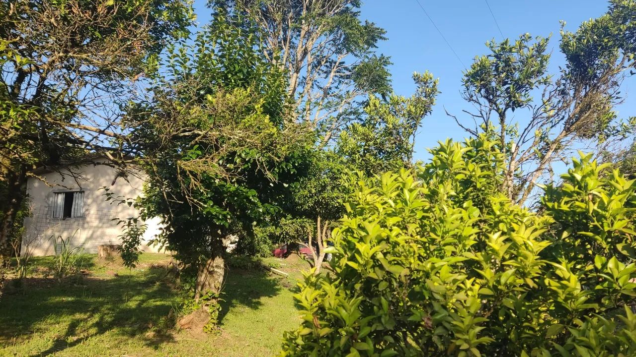 Foto - Curitiba - Boqueirão