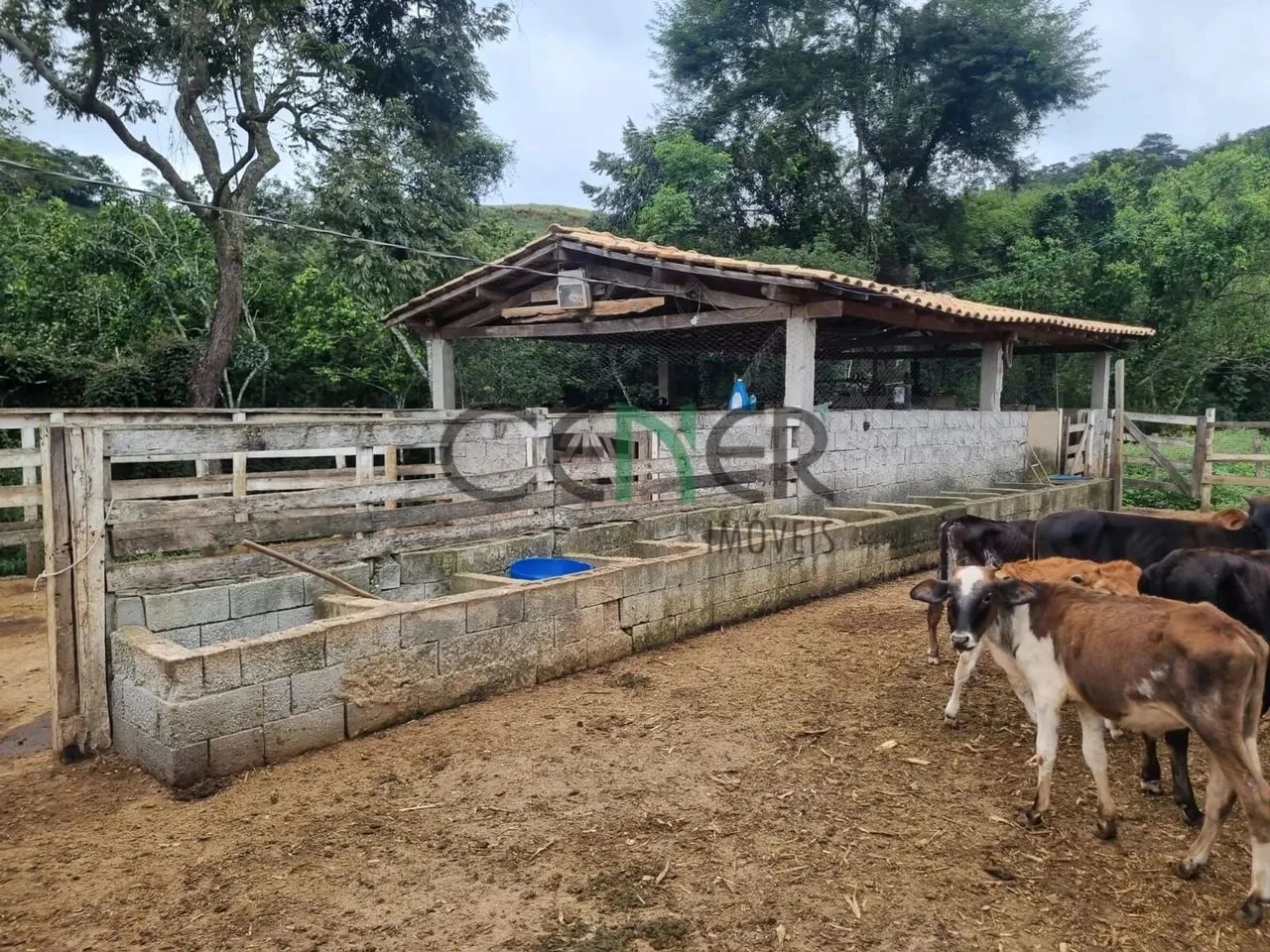 Bela fazendinha de 23 ha região de Cons Lafaiete MG - Foto 3