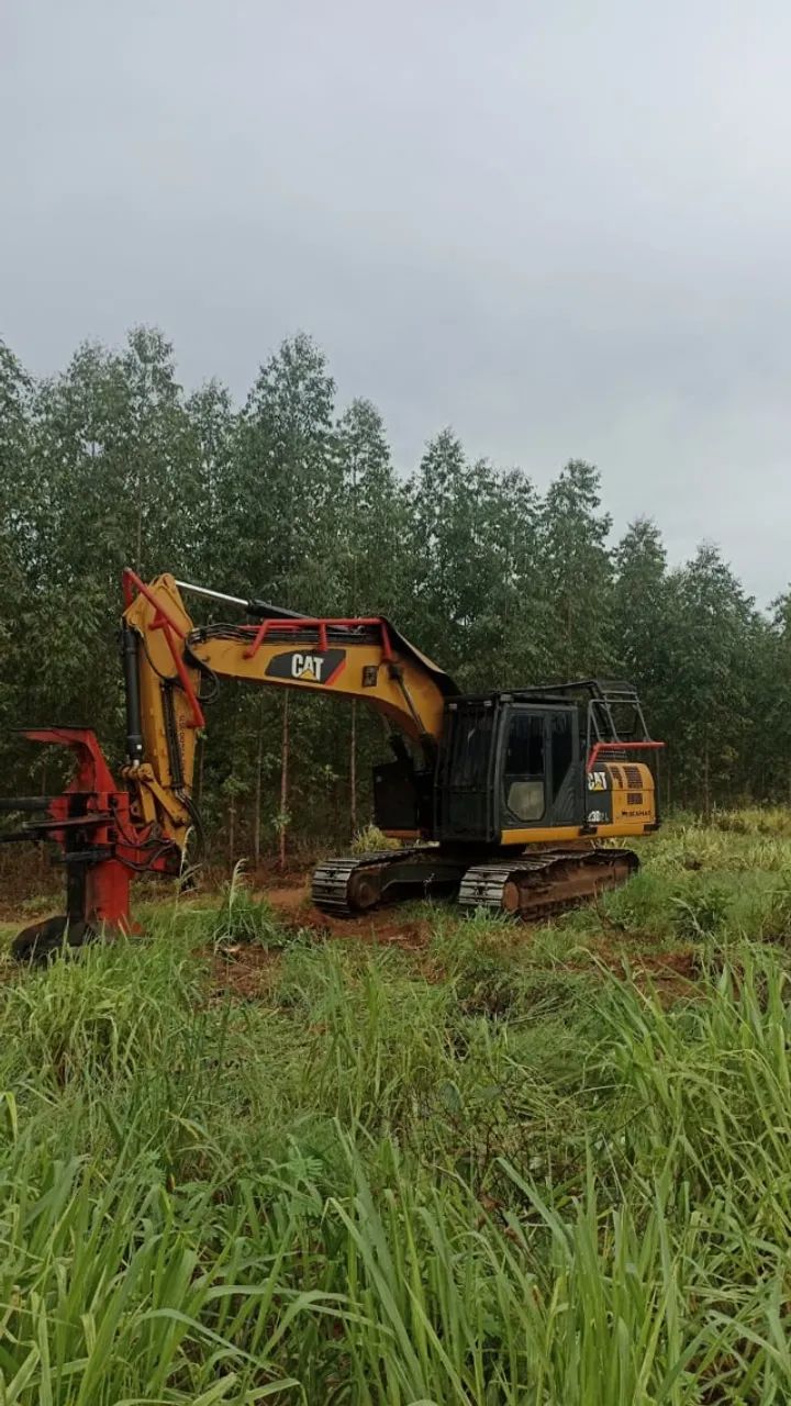 Serviço de feller e skidder - Foto 2
