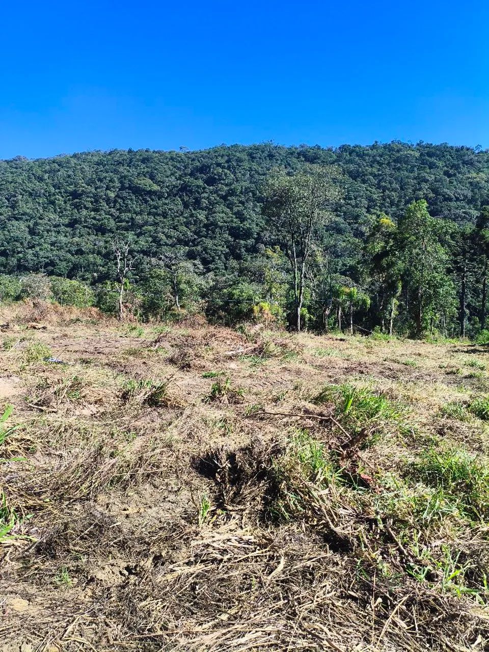Terreno pronto para construir e plantar!  - Foto 3