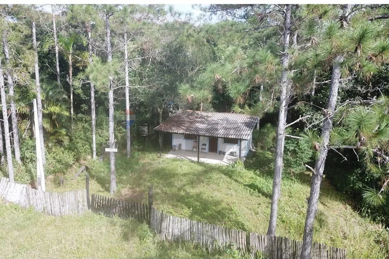 Sítio do Bolinha | 5,41 hectares | Cananéia  SP - Foto 2
