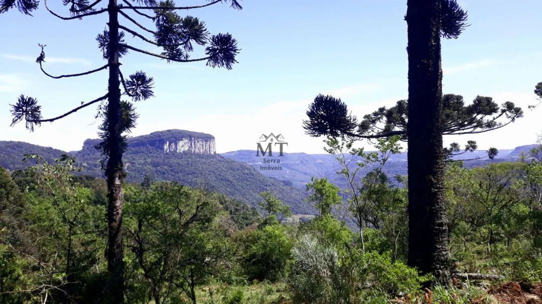 Área de terra a venda em Nova Petropolis.RS Ref.:20 - Foto 3
