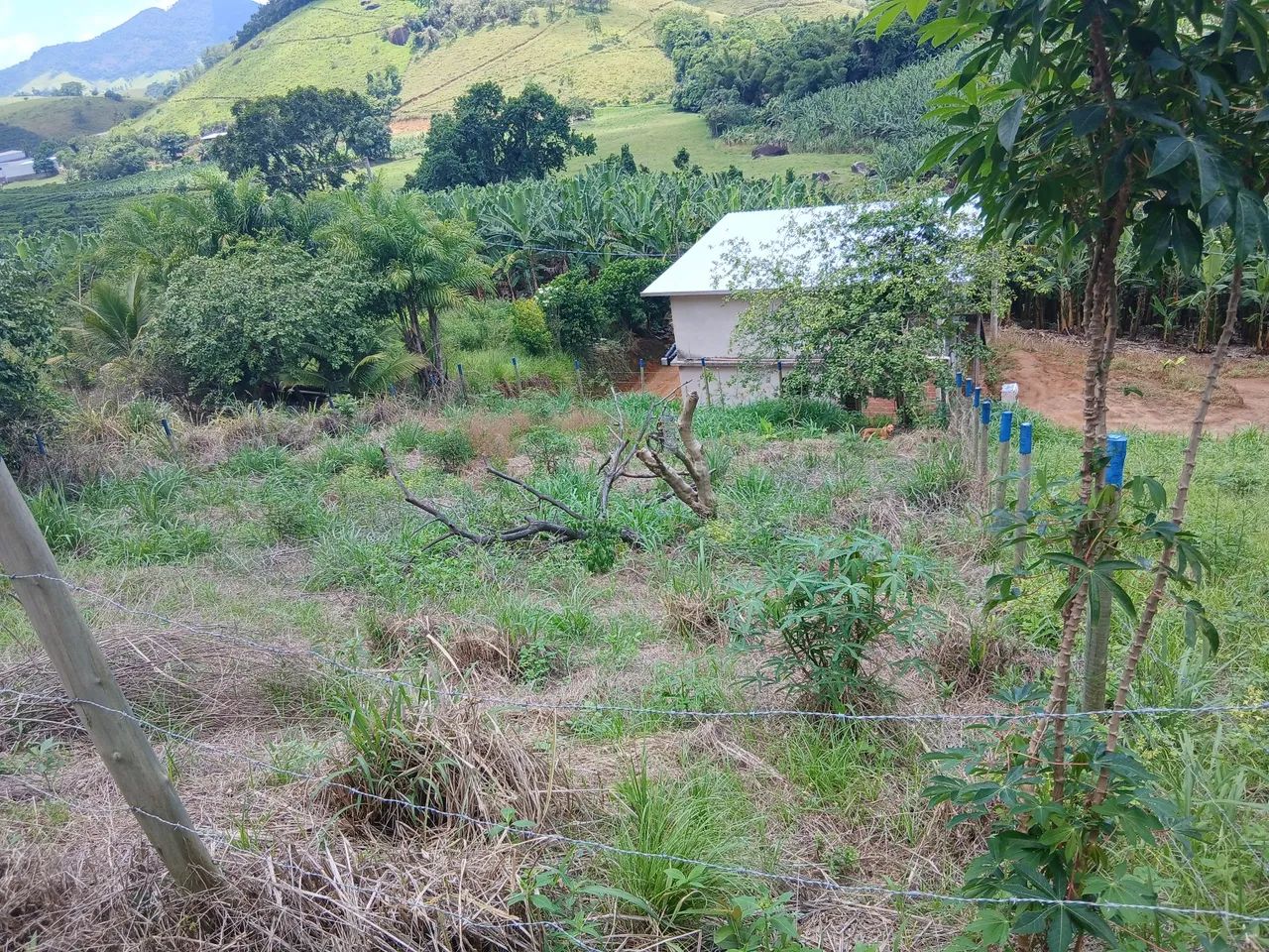 Vendo Lote em Solidão  - Foto 5