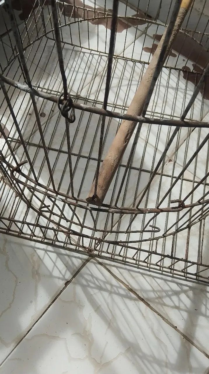 Gaiola para aves  - Foto 5