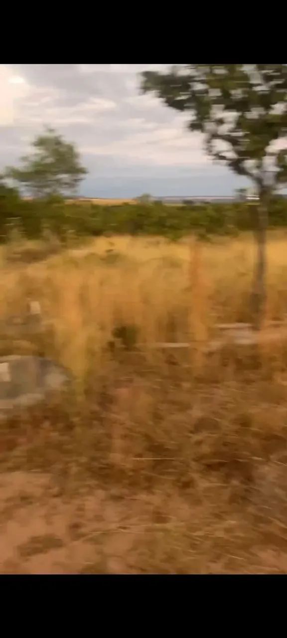 Chácara em Tocantins  - Foto 5