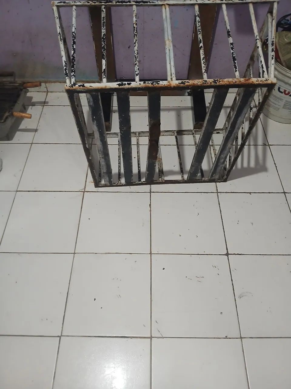 licheira - Foto 3