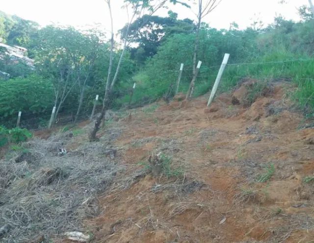 Excelente Terreno - Foto 4