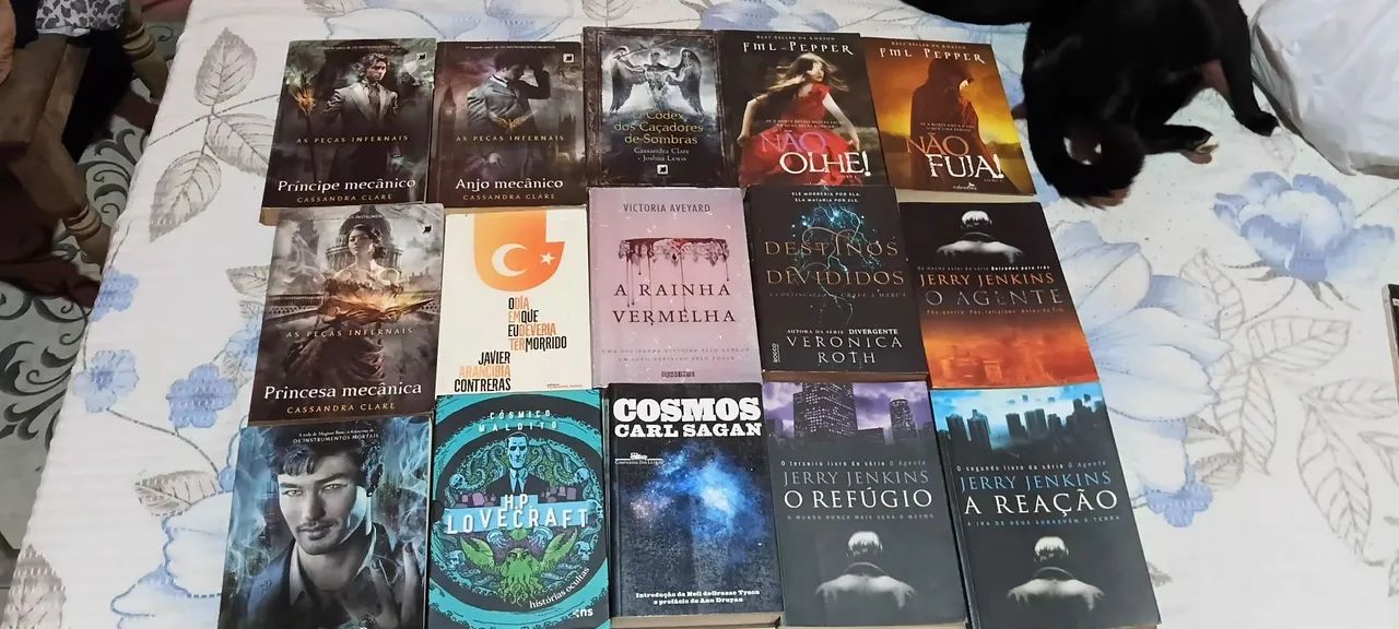 Livros em perfeito estado!! - Foto 2