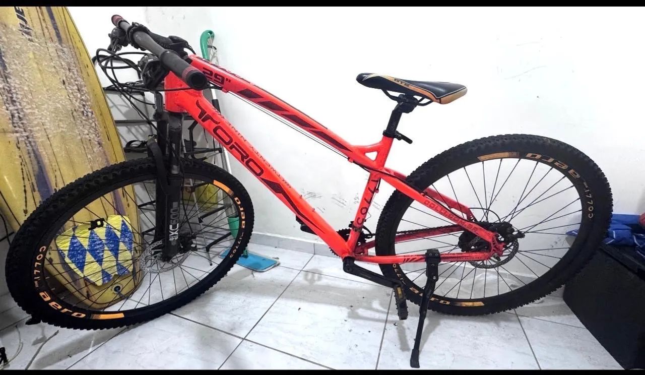 BICICLETA TORO ARO 29