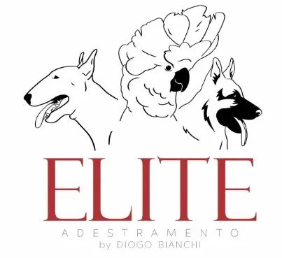 Hotel e Creche para Cachorro - Foto 2