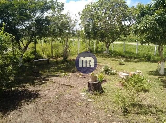 SITIO A 18km de Campina - Foto 5