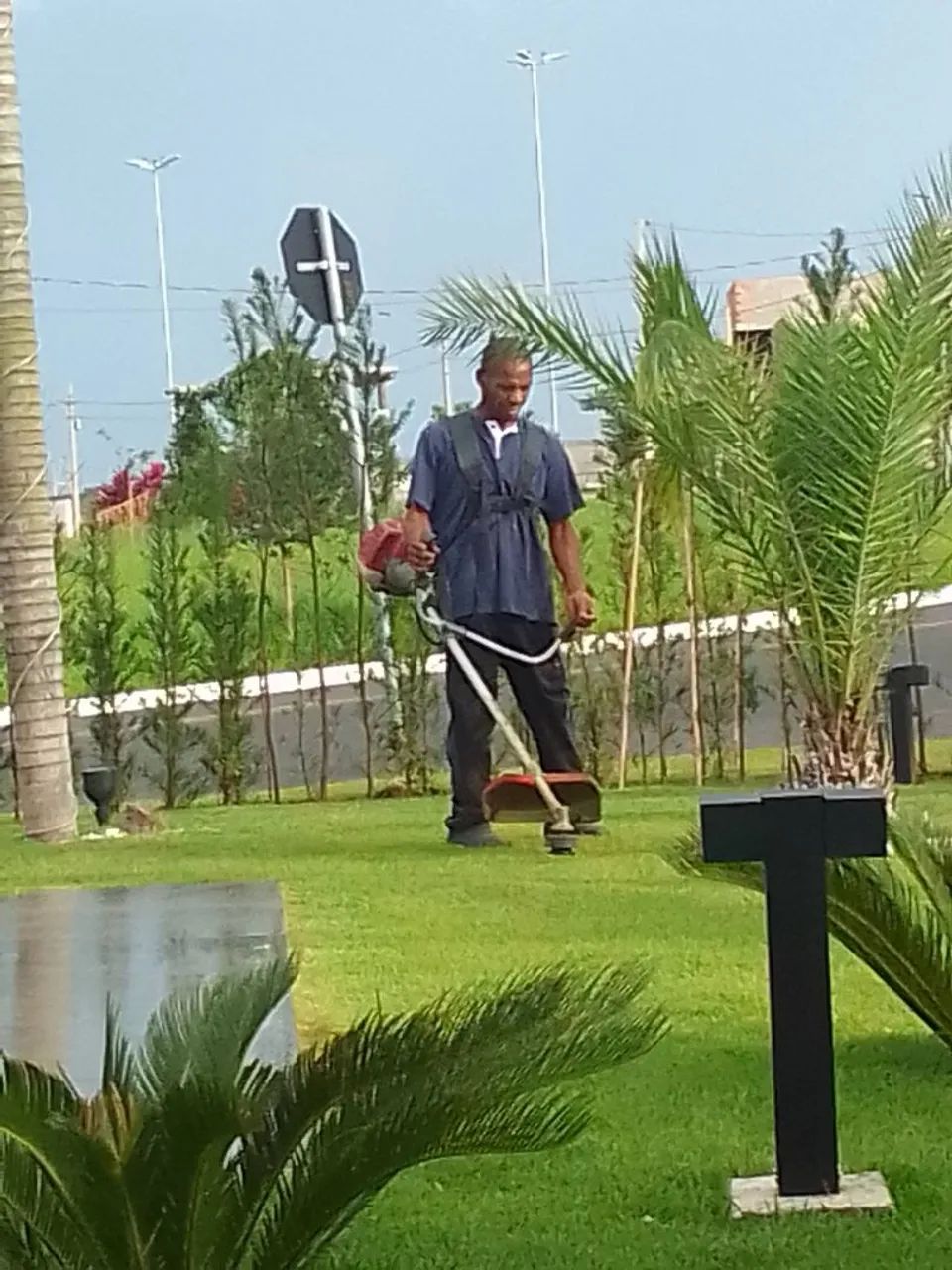 Jardinagem - Foto 4