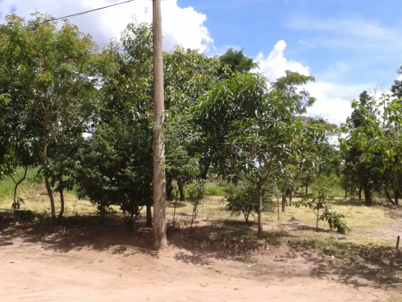 Terreno Padrão em Brotas - Foto 3