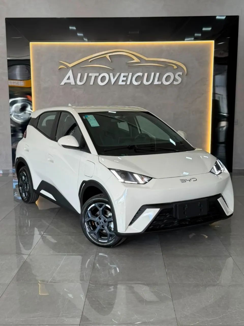 BYD Dolphin Mini (Elétrico) 2027