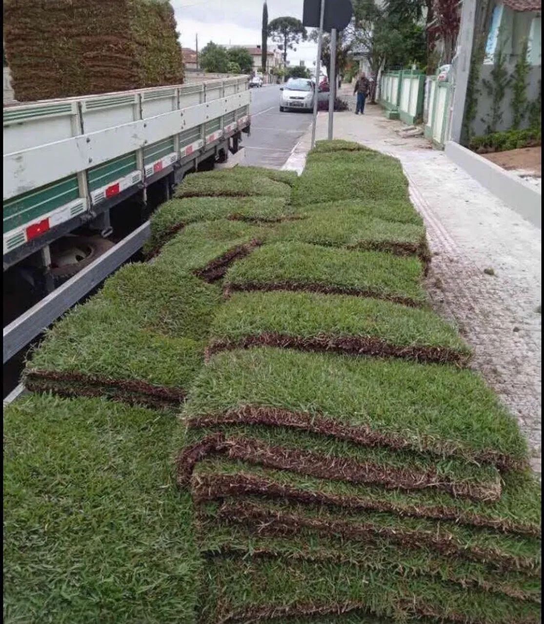 Grama início de ano  - Foto 4