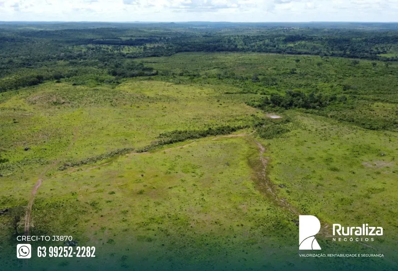900 RESES/ANO | 320 ALQUEIRES | 850 HA FORMADOS - Foto 5