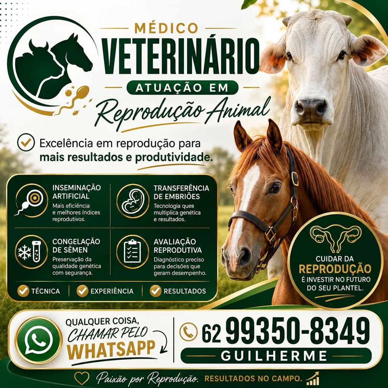 MEDICO VETERINÁRIO 