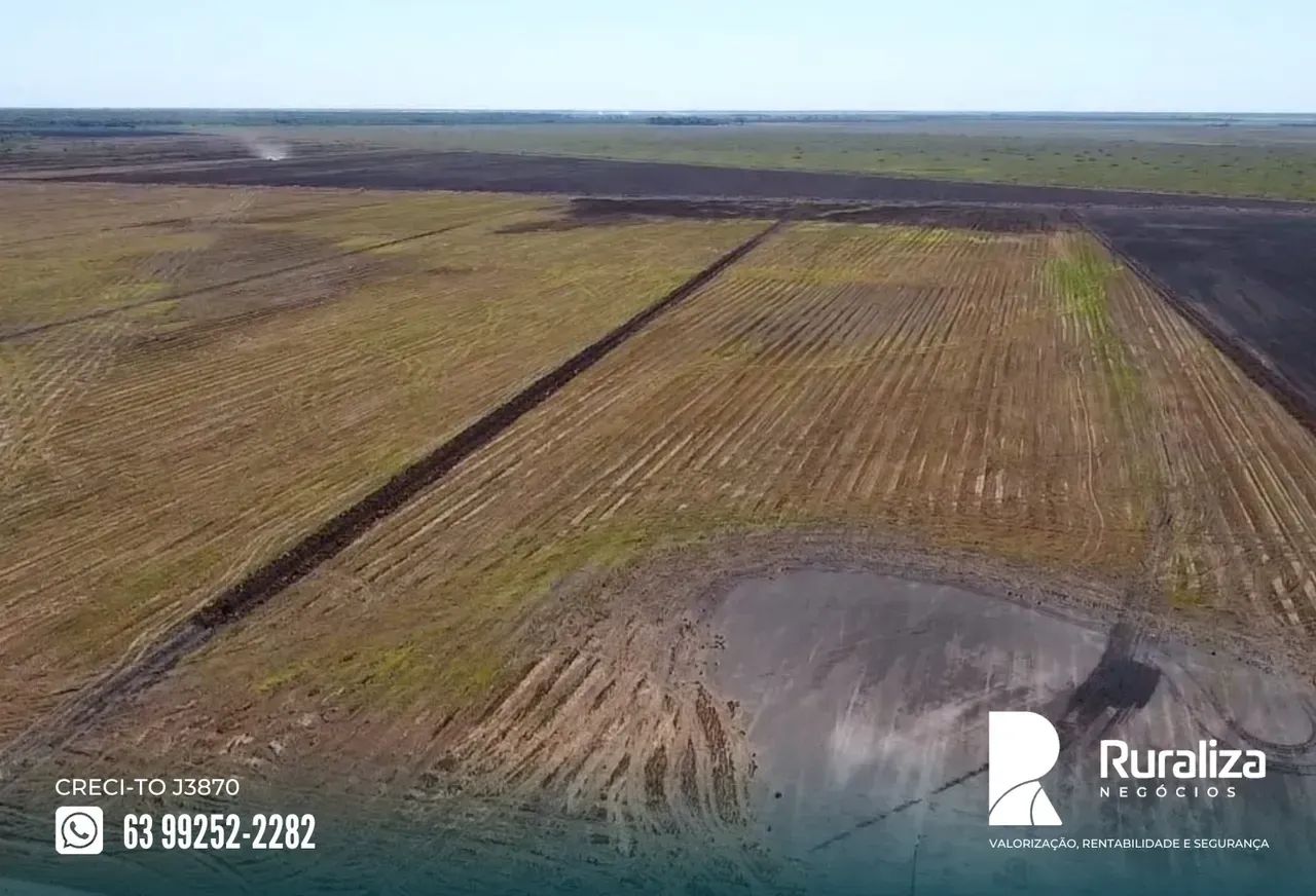 7.260 HA | 1.000 HA PARA ABERTURA | VÁRZEA E TERRA PRETA - Foto 4