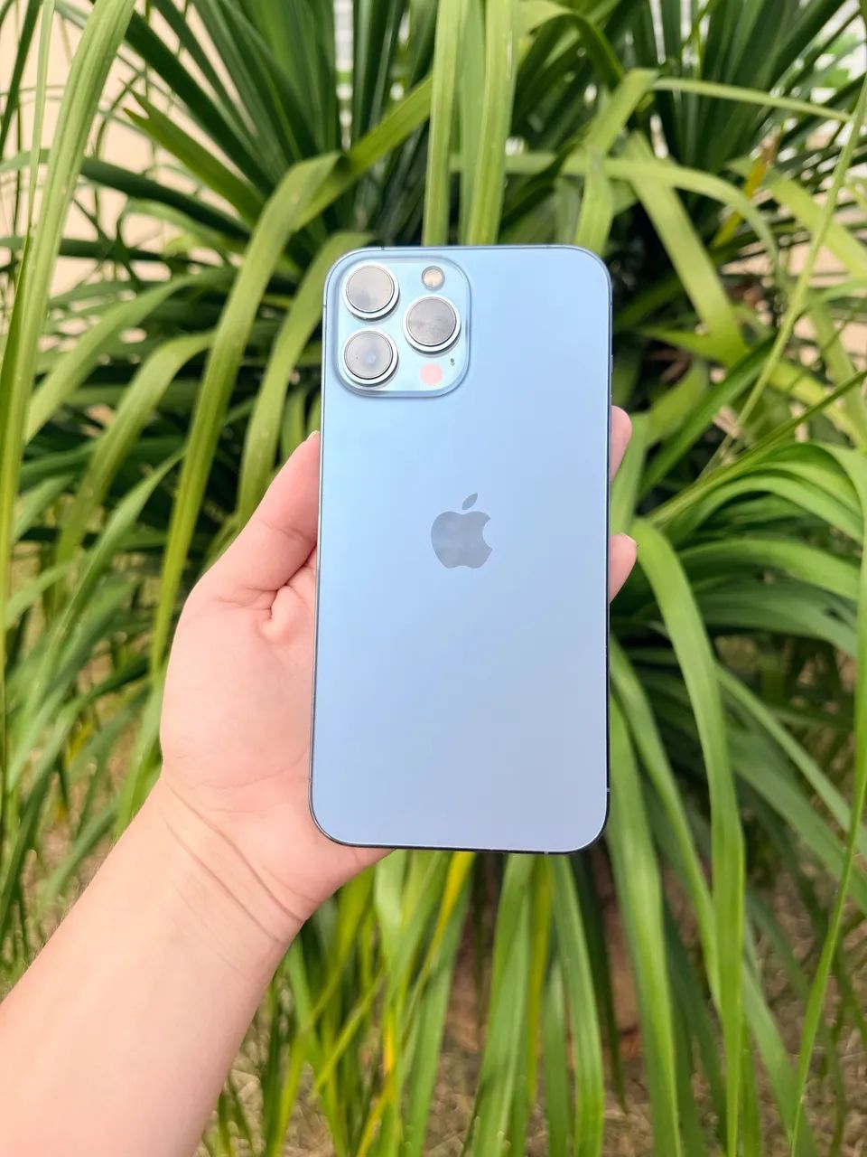 iPhone 13 Pro Max 256 - Celulares e Smartphones - Centro, Rebouças