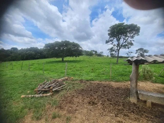 Fazenda em Cláudio /MG. - Foto 5