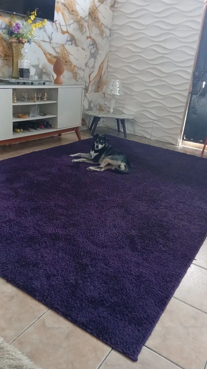 Tapete roxo  - Foto 2