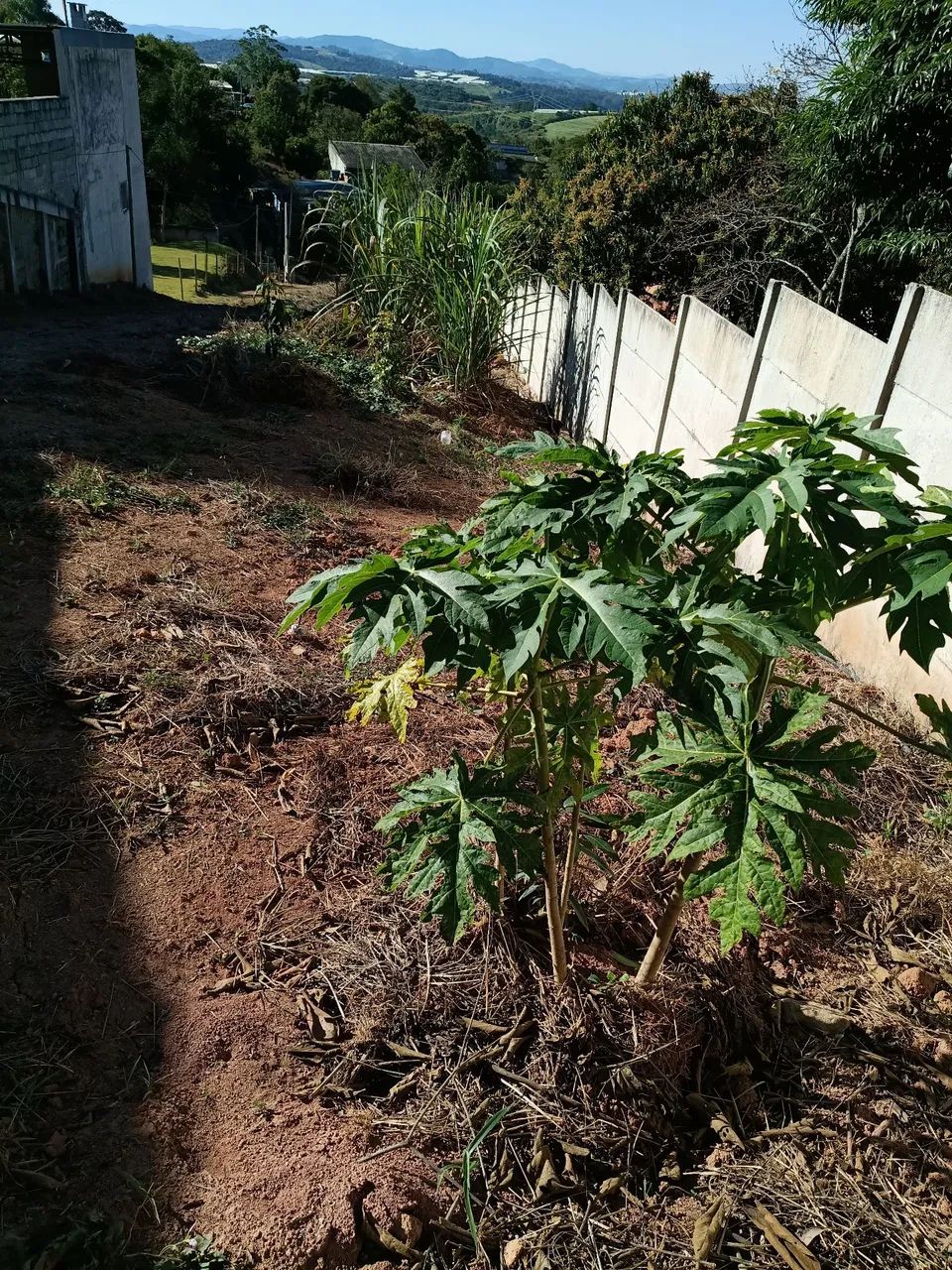 TERRENO ATIBAIA - Maracanã  - Foto 5