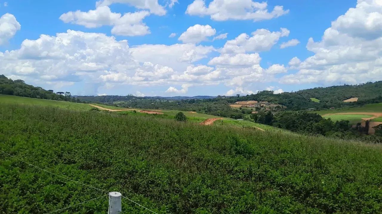 Lotes em Cotia com Financiamento Direto - Foto 2