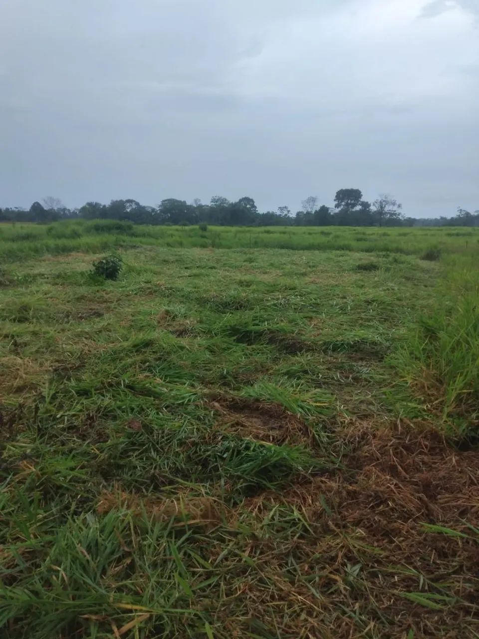 Faço qualquer negócio no terreno  - Foto 2