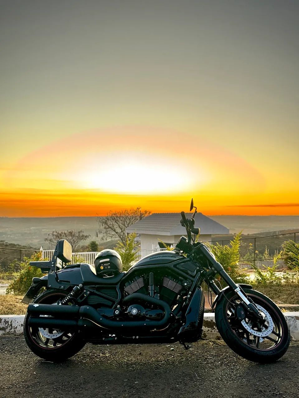 Night rod special  - Foto 3