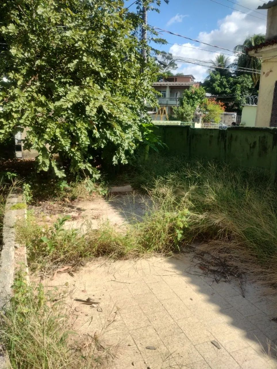 Terreno  - Foto 3