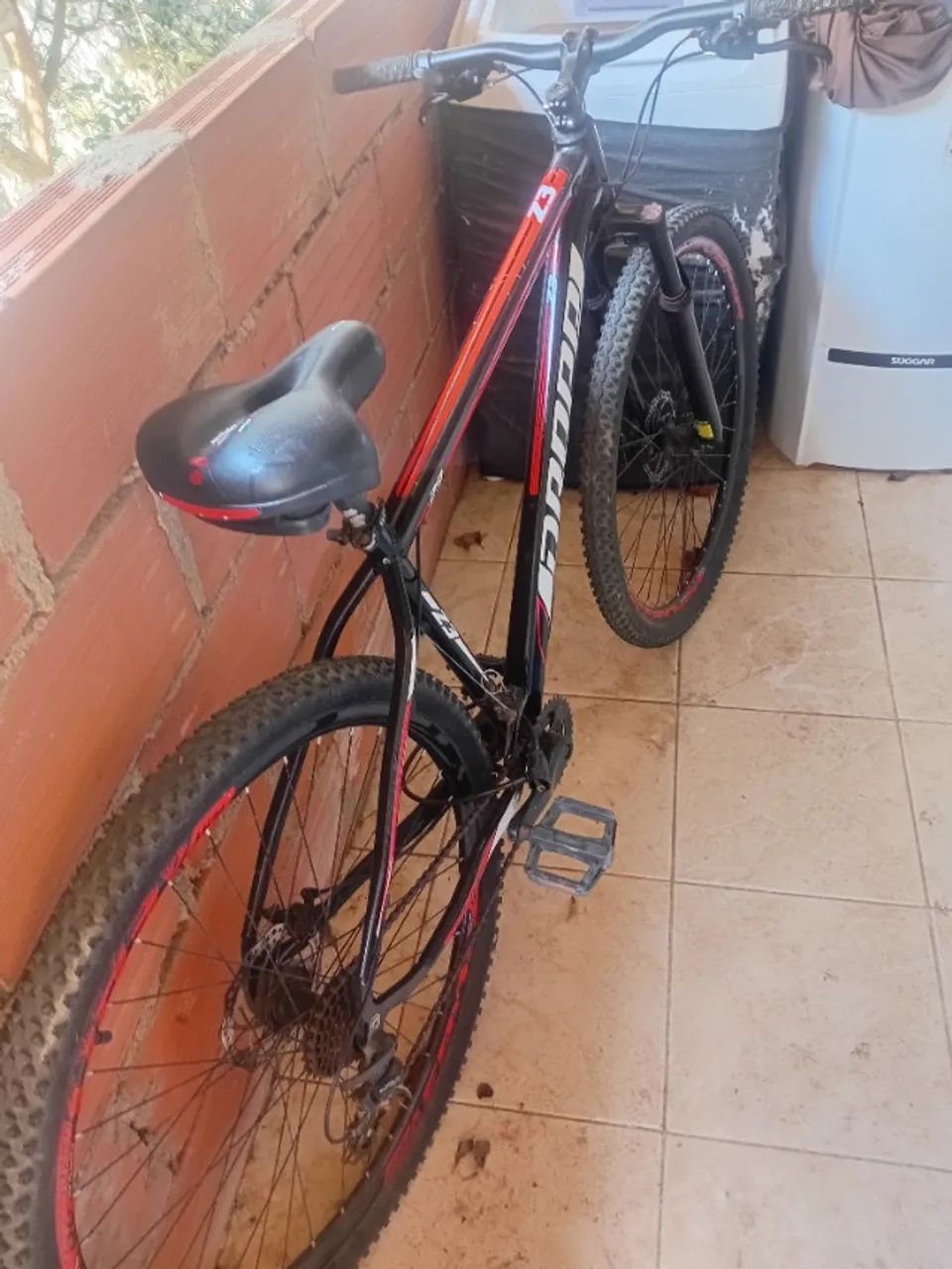 Bicicleta ?  - Foto 2