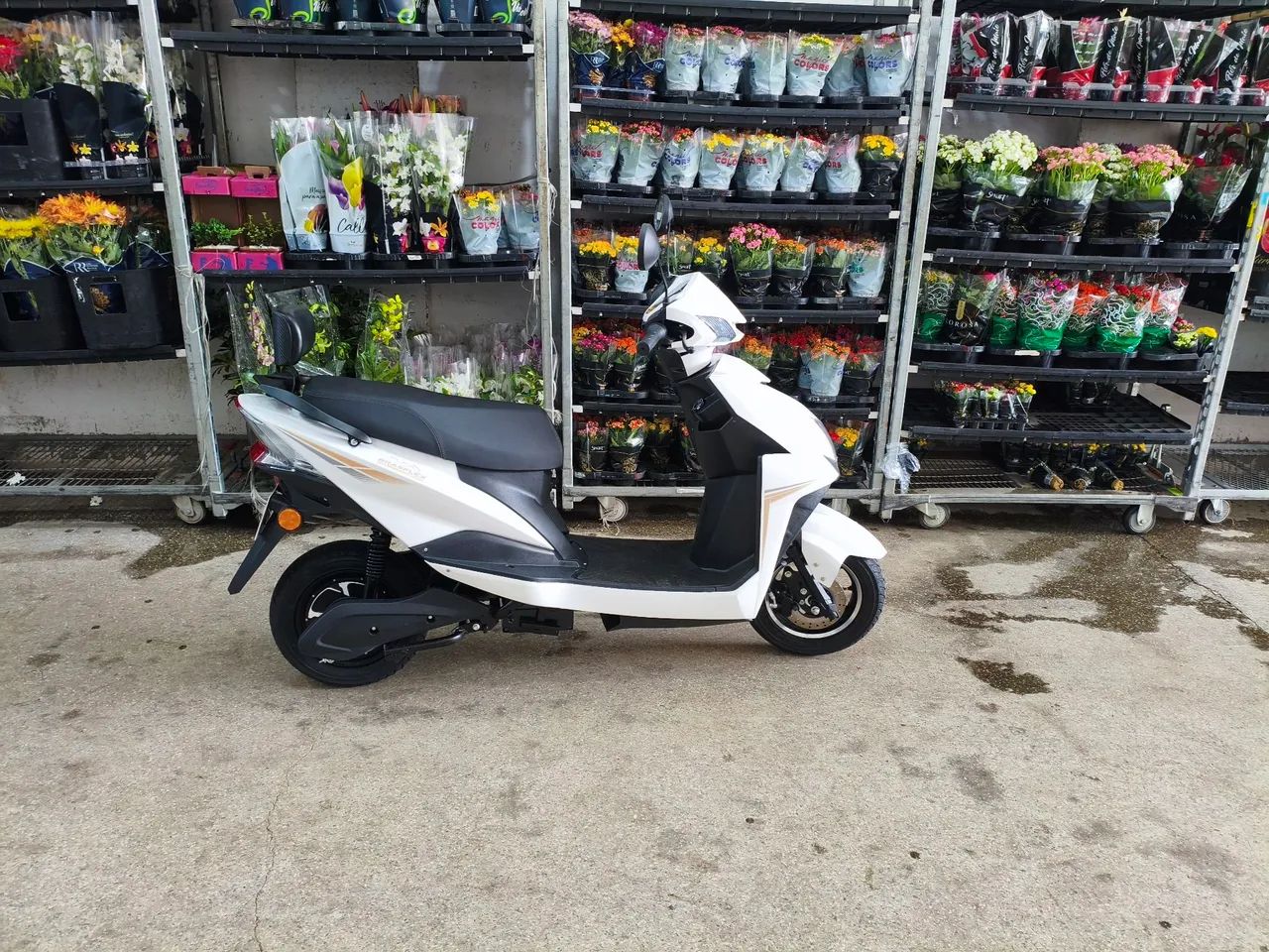 AUTOPROPELIDP BRAZFLEX 1000W BRANCA - Foto 2