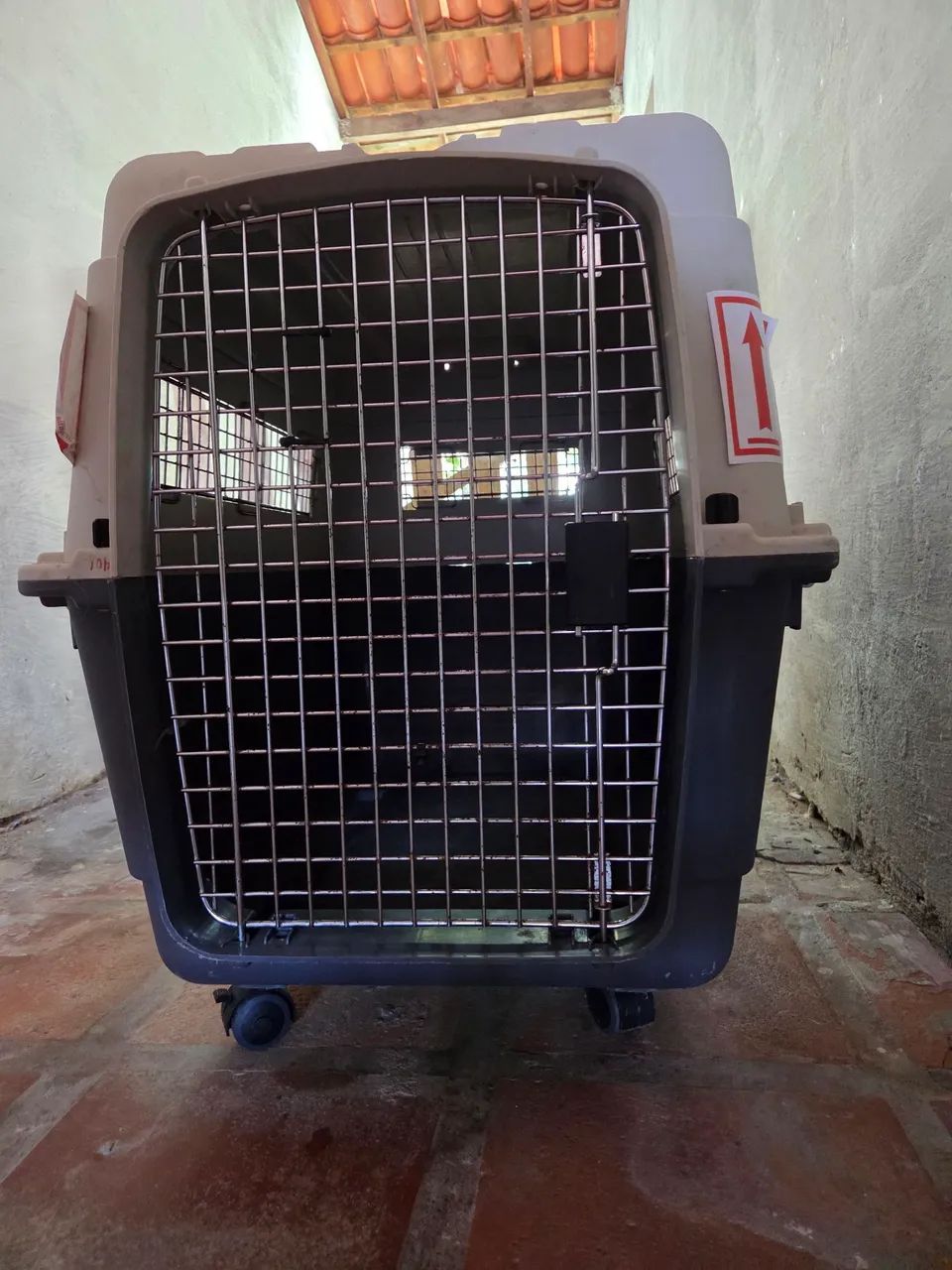 Caixa de Transporte para cachorro - Foto 4