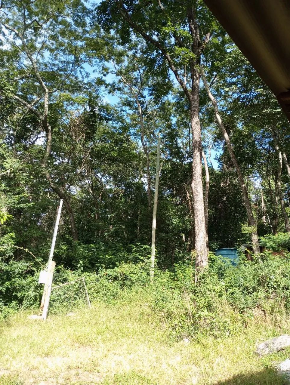 Sítio 20.000 mts em Taquaraçu de minas  - Foto 4
