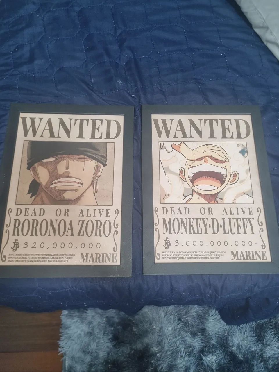 Quadro Luffy e Zoro