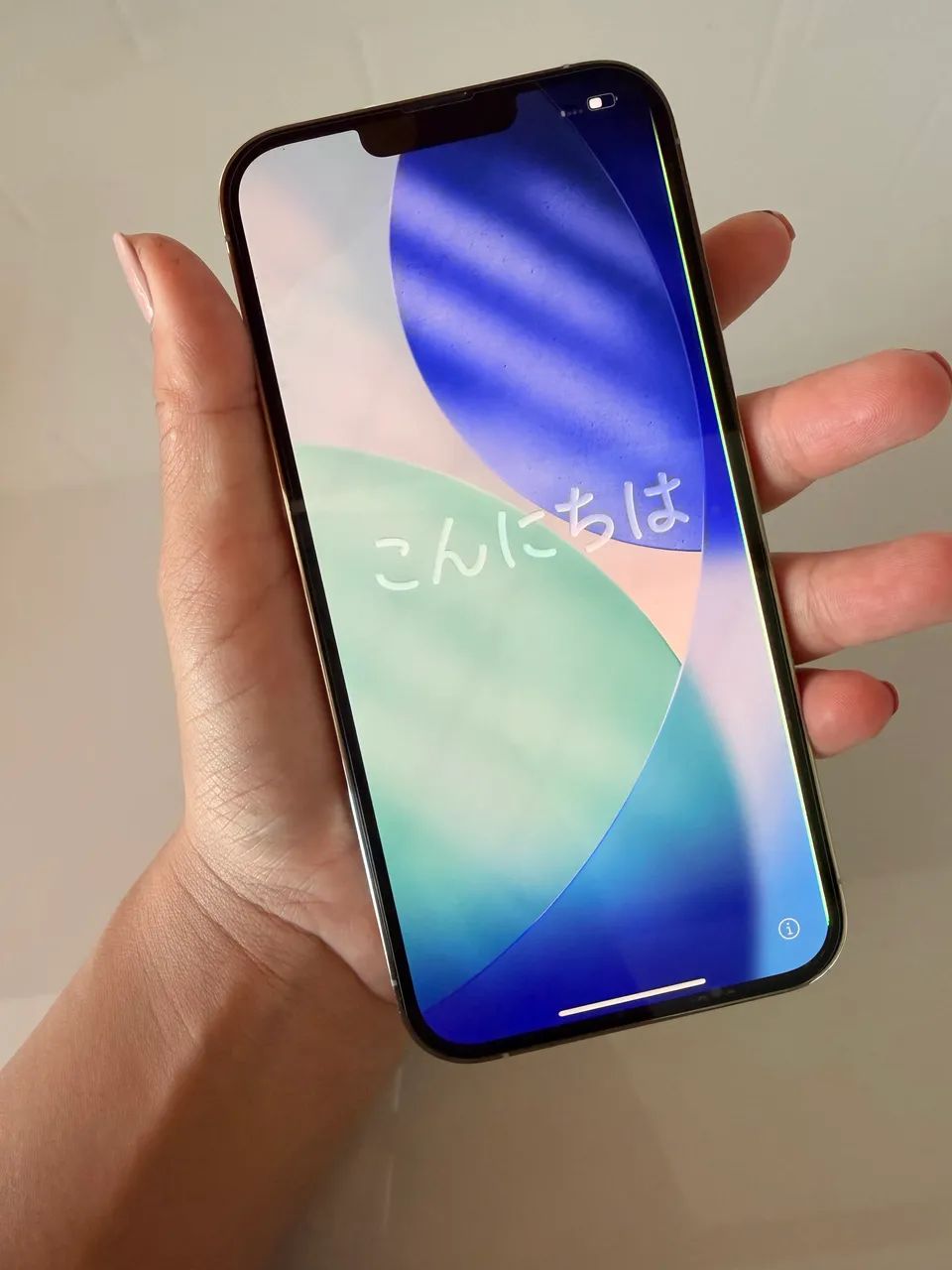 iPhone 13 Pro Max 516gb 