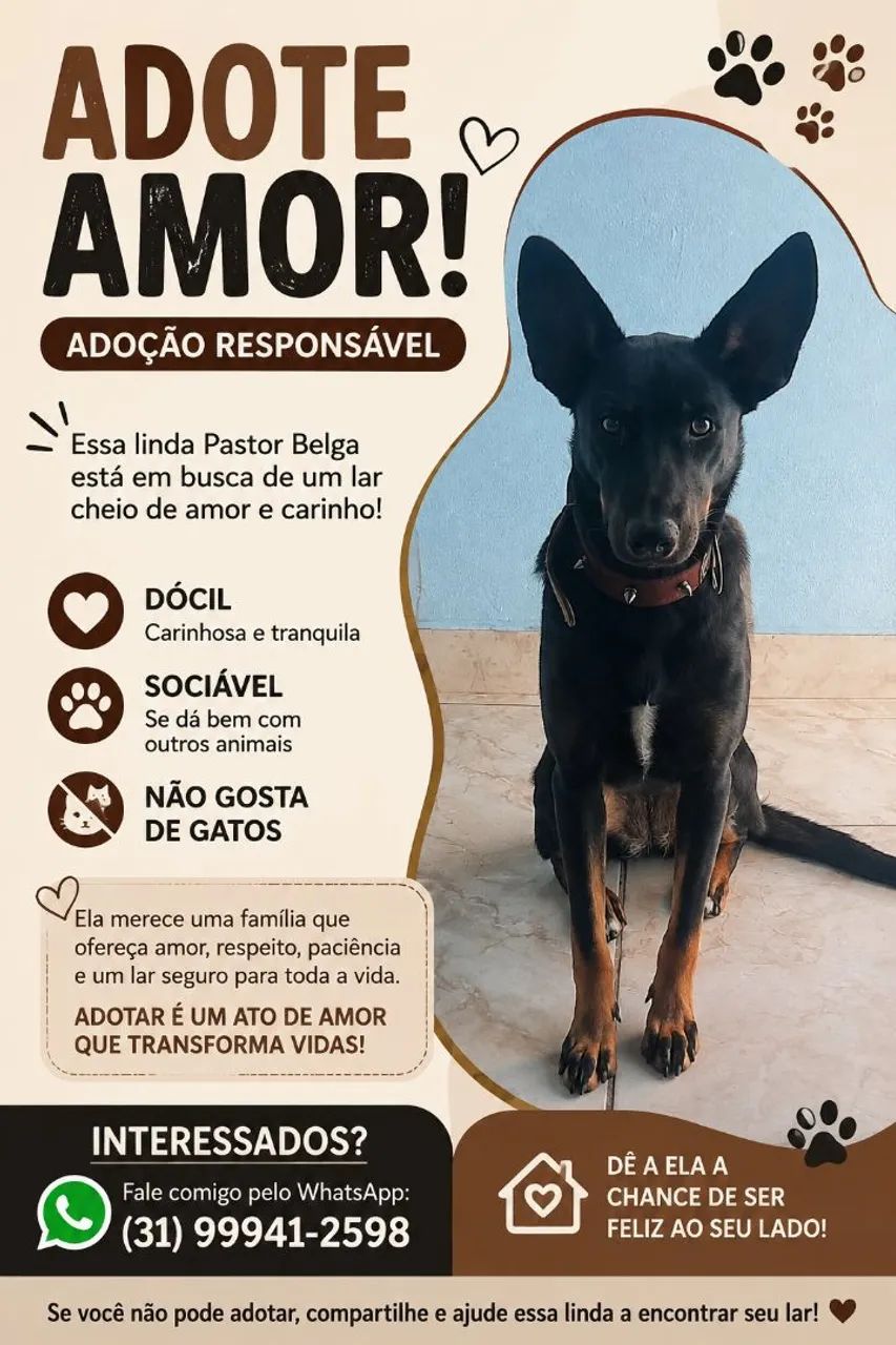 Adoção responsável 