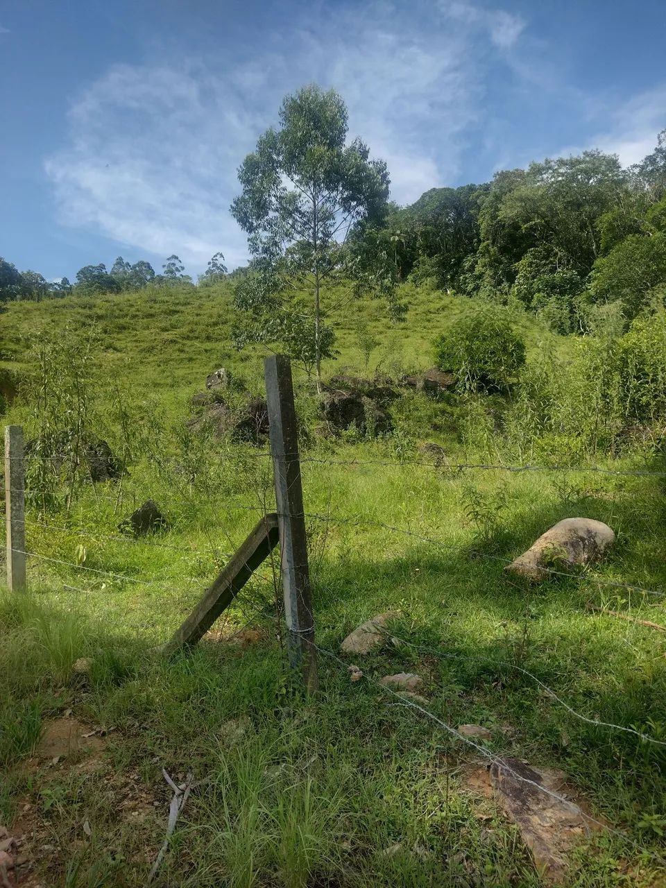 Vendo um terreno rural  - Foto 4